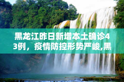黑龙江昨日新增本土确诊43例，疫情防控形势严峻,黑龙江昨日新增本土确诊43例