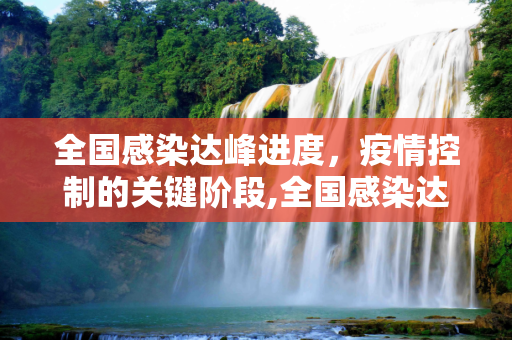 全国感染达峰进度，疫情控制的关键阶段,全国感染达峰进度