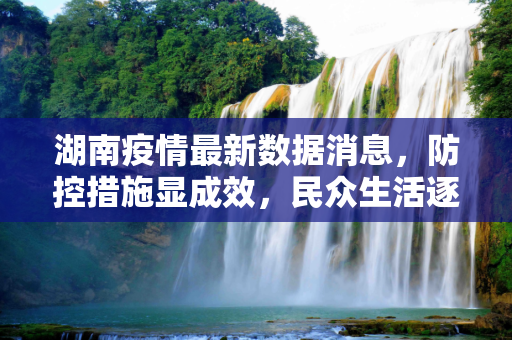 湖南疫情最新数据消息，防控措施显成效，民众生活逐步恢复,湖南疫情最新数据消息