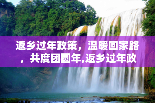 返乡过年政策，温暖回家路，共度团圆年,返乡过年政策