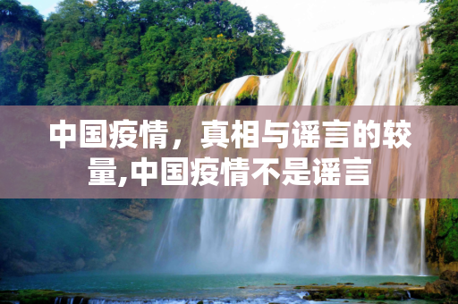 中国疫情，真相与谣言的较量,中国疫情不是谣言