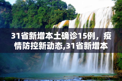 31省新增本土确诊15例，疫情防控新动态,31省新增本土确诊15例
