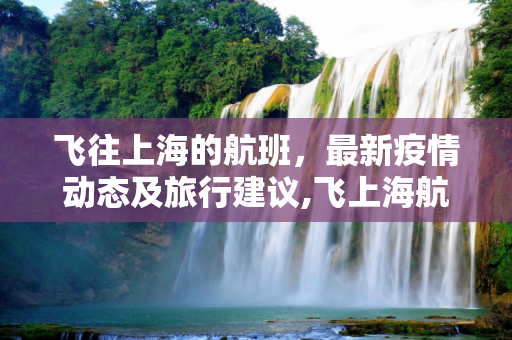 飞往上海的航班，最新疫情动态及旅行建议,飞上海航班最新疫情