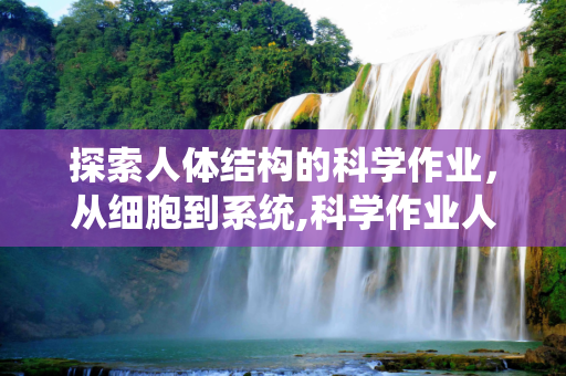 探索人体结构的科学作业，从细胞到系统,科学作业人体结构